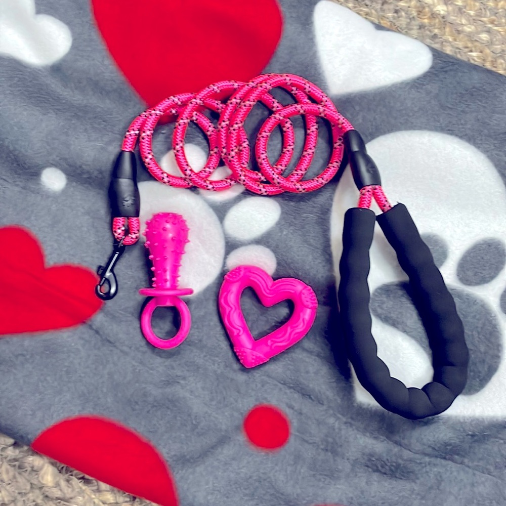 Brand New 🆕🐾♥️ Pink Pet Pack w/Fleece Blanket, Leash & Chew Toys